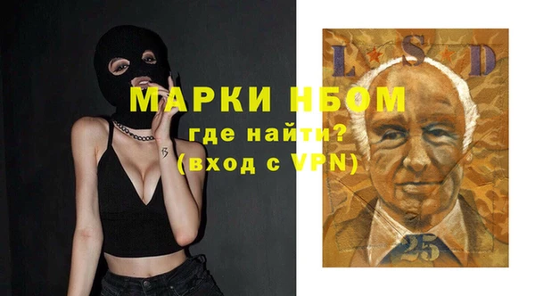 PSILOCYBIN Алзамай