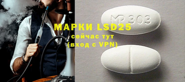 PSILOCYBIN Алзамай