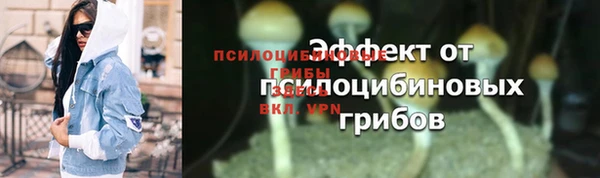 PSILOCYBIN Алзамай