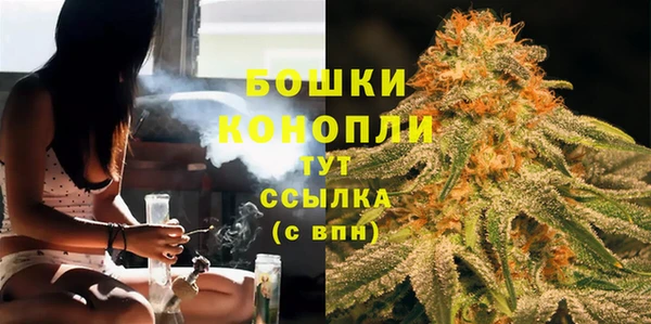 PSILOCYBIN Алзамай