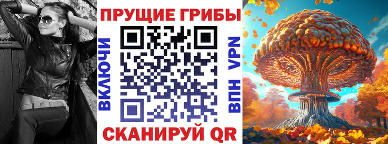наркошоп  Сортавала  Псилоцибиновые грибы Psilocybe 