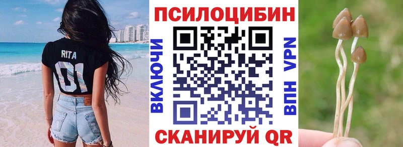 Псилоцибиновые грибы мицелий Сортавала